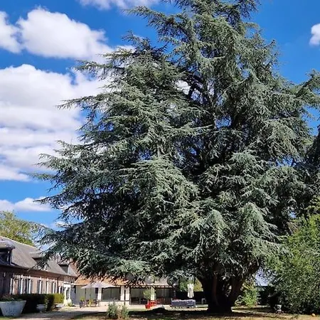 Longere Renovee Avec Piscine Villa